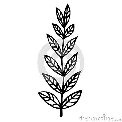 Branch with leaves vector icon. Hand drawn doodle isolated on white background. A straight twig with large oval veined leaves. Vector Illustration
