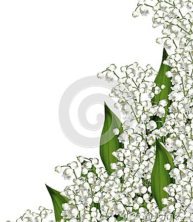 The branch of lilies of the valley flowers i Stock Photo