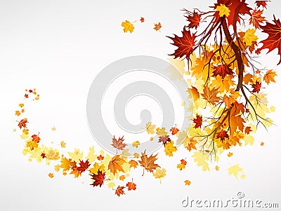 Branch with maple leaves Vector Illustration