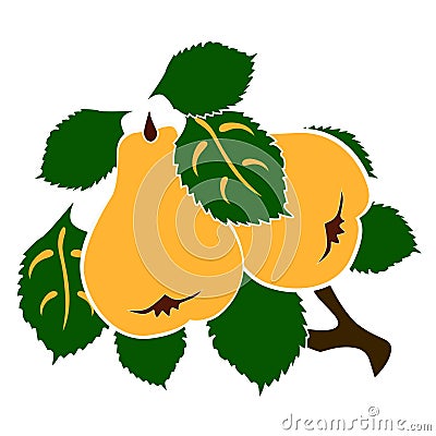 The branch of pears Vector Illustration