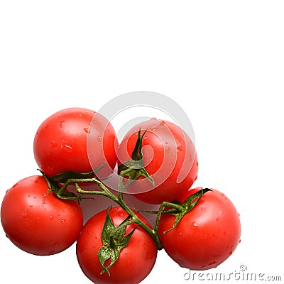 Branch of red tomato on a white background. Stock Photo