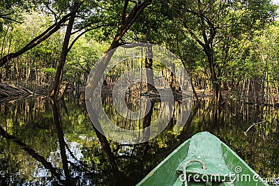 Branch of the Rio Negro, Amazonas, Brazil Stock Photo