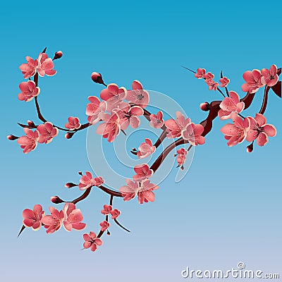 Branch of rose blossoming sakura . Japanese cherry tree. Vector Isolated Illustration Vector Illustration