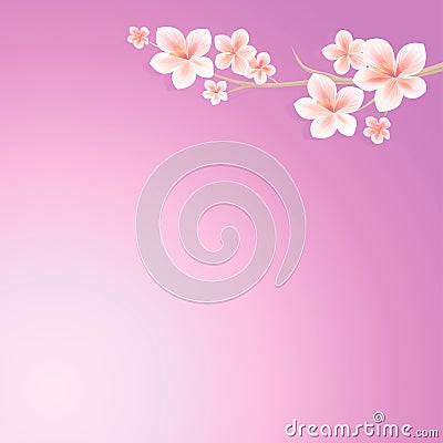 Branch of Sakura with Pink flowers isolated on gradient Violet background. Apple-tree flowers. Cherry blossom. Vector EPS 10 Vector Illustration