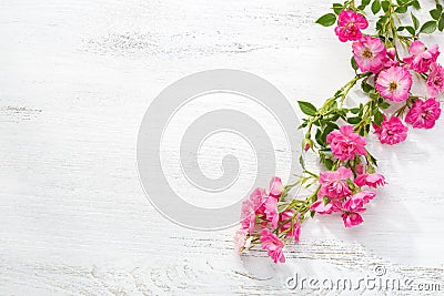 Branch of small pink roses on a shabby wooden table. flat lay Stock Photo