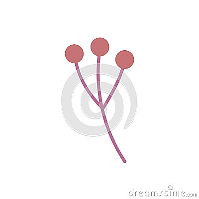 Branch stem berry botanical icon Vector Illustration