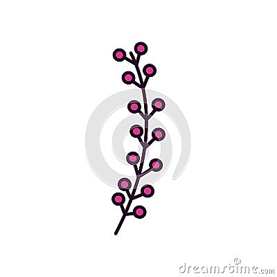 Branch stem berry botanical icon Vector Illustration