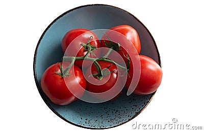 A branch of tomato on a sea-green plate, a turquoise plate. Isolated object Stock Photo