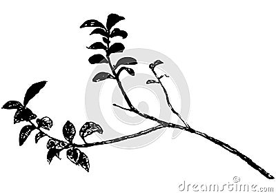 Branch (vector) Vector Illustration