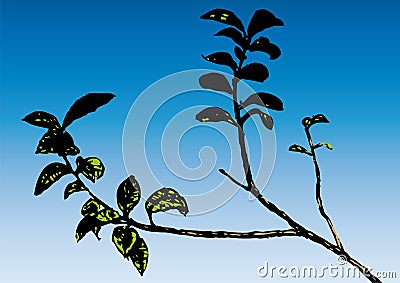 Branch (vector) Vector Illustration