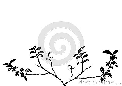 Branch (vector) Vector Illustration