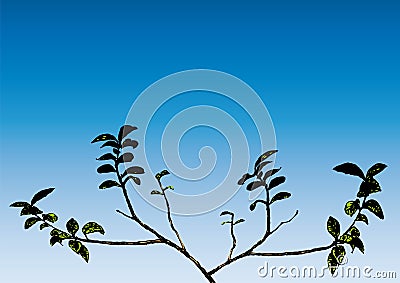 Branch (vector) Vector Illustration