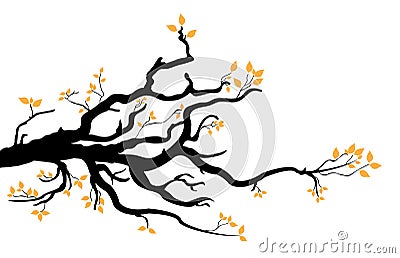 Branch Stock Photo