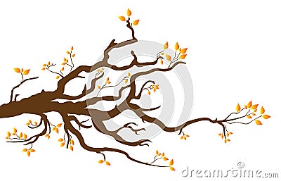 Branch Stock Photo