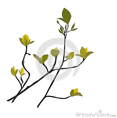 Branch with young leaf sprouts vector stock illustration Vector Illustration