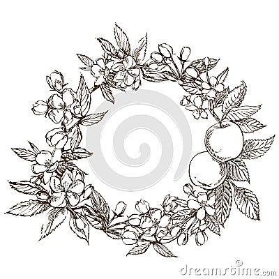 Branches of apple blossom. Floral wreath. Graphic round border. Vector Illustration