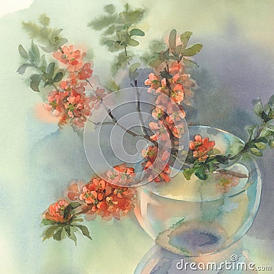 Branches of blooming quince still-life watercolor Cartoon Illustration