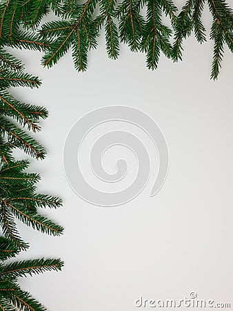 Branches of the Christmas tree border on one side of the long and short edge on a white background Stock Photo