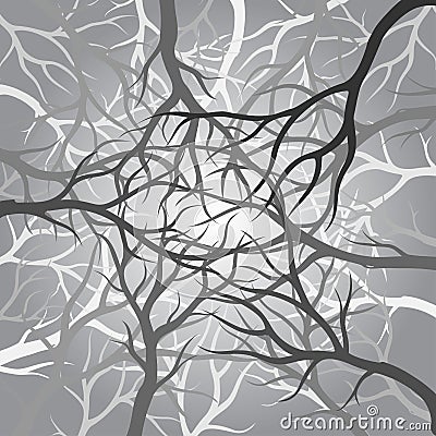 Branches dark Stock Photo