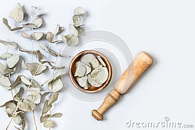 Branches of eucalyptus and essential bottles on a gray background Stock Photo