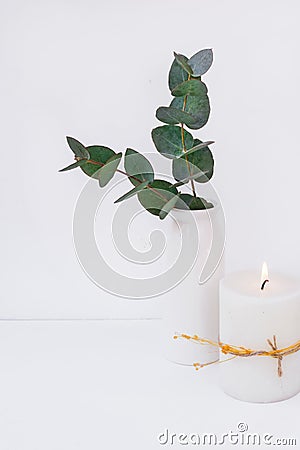 Branches of green silver dollar eucalyptus in ceramic vase, burning candle on white background, styled image Stock Photo