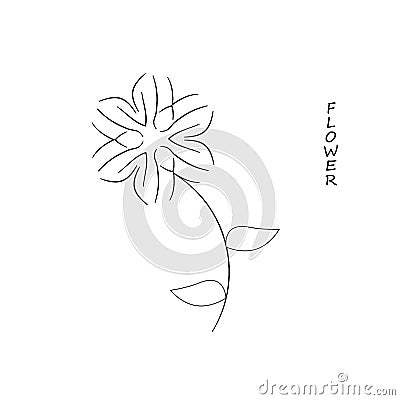 Branches with magnolia flowers on a white background. Floral vector background with space for text. Vector Illustration