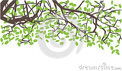 Branches pattern Stock Photo