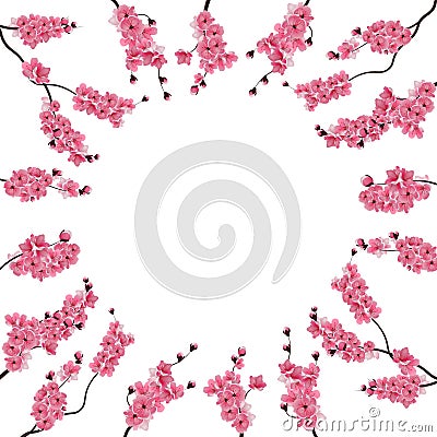 Branches with pink cherry blossoms. Buds. Sakura. Centered advertising space, text ads. Isolated on white background Vector Illustration