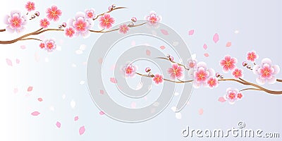 Branches of Sakura and petals flying on light blue purple background. Apple-tree flowers. Cherry blossom. Vector EPS 10 Vector Illustration