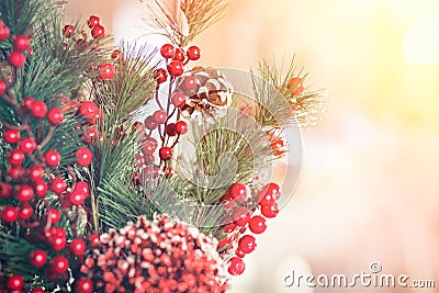 Branches of spruce and berries of viburnum close-up. Winter decoration Stock Photo