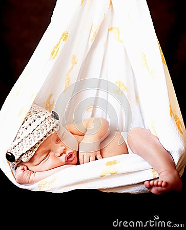 Perfect newborn hangs cradled in swaddling cloth. Stock Photo