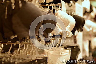 Bras on hangers and stands in white, black, milky color. Stock Photo