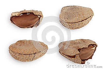 Brasil nuts in nutshell isolated on white background with clipping path and full depth of field. Top view. Flat lay. Set Stock Photo
