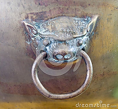 Brass door knocker lion head Stock Photo