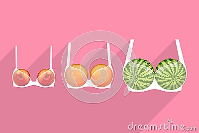 Brassieres with fruits inside. Different bra sizes Vector Illustration