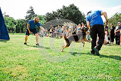 Bratislava, Slovakia - June 2nd 2019 : Best dog of Ruzinov Editorial Stock Photo