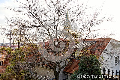 Bratislava, Slovakia: 25, november, 2019 - walk in the old city of Bratislava, view of the city Editorial Stock Photo