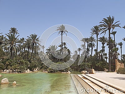 Beautifull lake in the Palmeral of Alicante Stock Photo