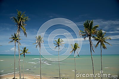 Brazil Beach Stock Photo