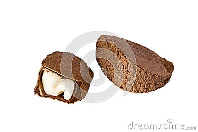 Brazil nut Stock Photo
