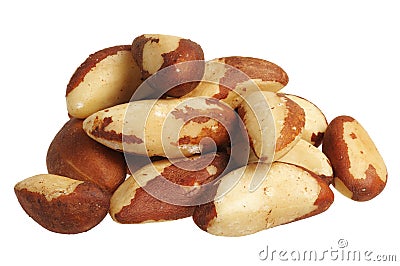 Brazil nut (Bertholletia excelsa) Stock Photo