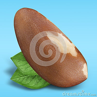 Brazil nut on pastel blue background. Closeup one Brazil nut without shell with green leaves as package design element Stock Photo