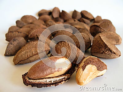 Brazil nuts Stock Photo