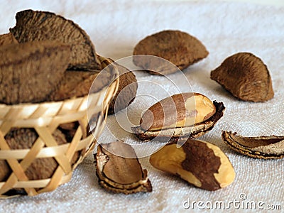 Brazil nuts Stock Photo