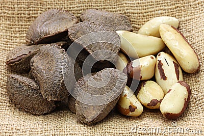 Brazil nuts, in shell ,and shell removal Stock Photo