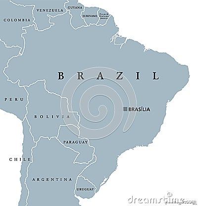 Brazil political map Vector Illustration