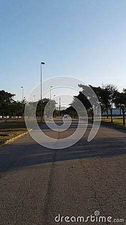 Brazil Rio de Janeiro Fundao Island Road Avenue Trees Stock Photo