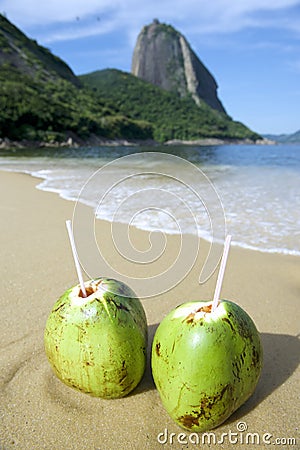 Brazilian Coco Gelado Coconuts Red Beach Rio de Janeiro Stock Photo