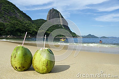 Brazilian Coco Gelado Coconuts Red Beach Rio de Janeiro Stock Photo