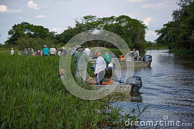 Brazilian Pantanal - The Jaguar Editorial Stock Photo